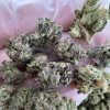 gas berry strain