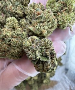 carbon fiber strain