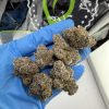 bolo runtz strain