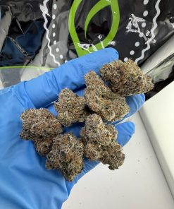 bolo runtz strain