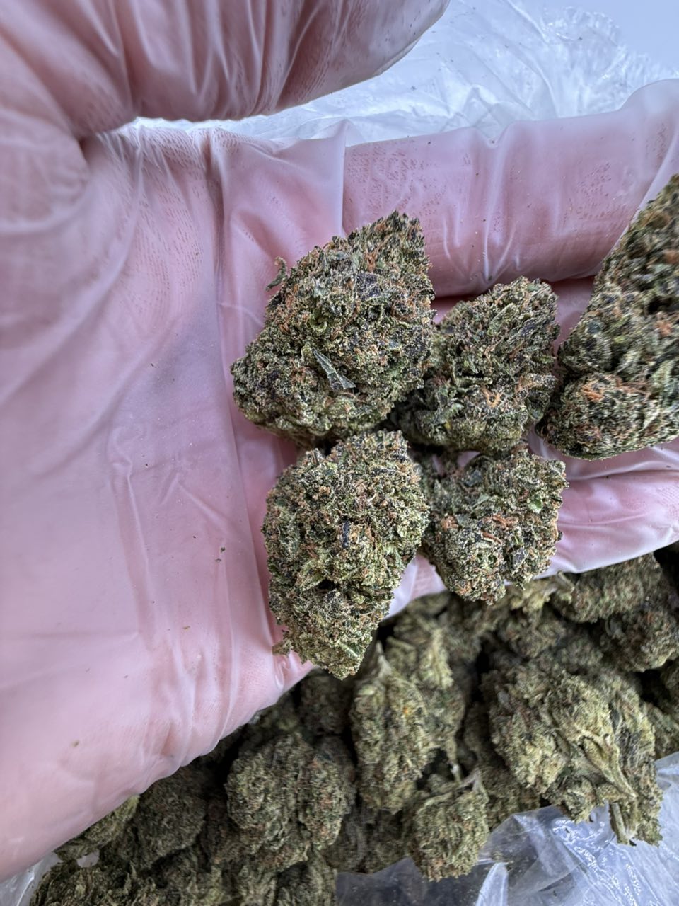 sweet tooth strain