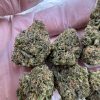 sweet tooth strain