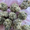 pink runtz strain