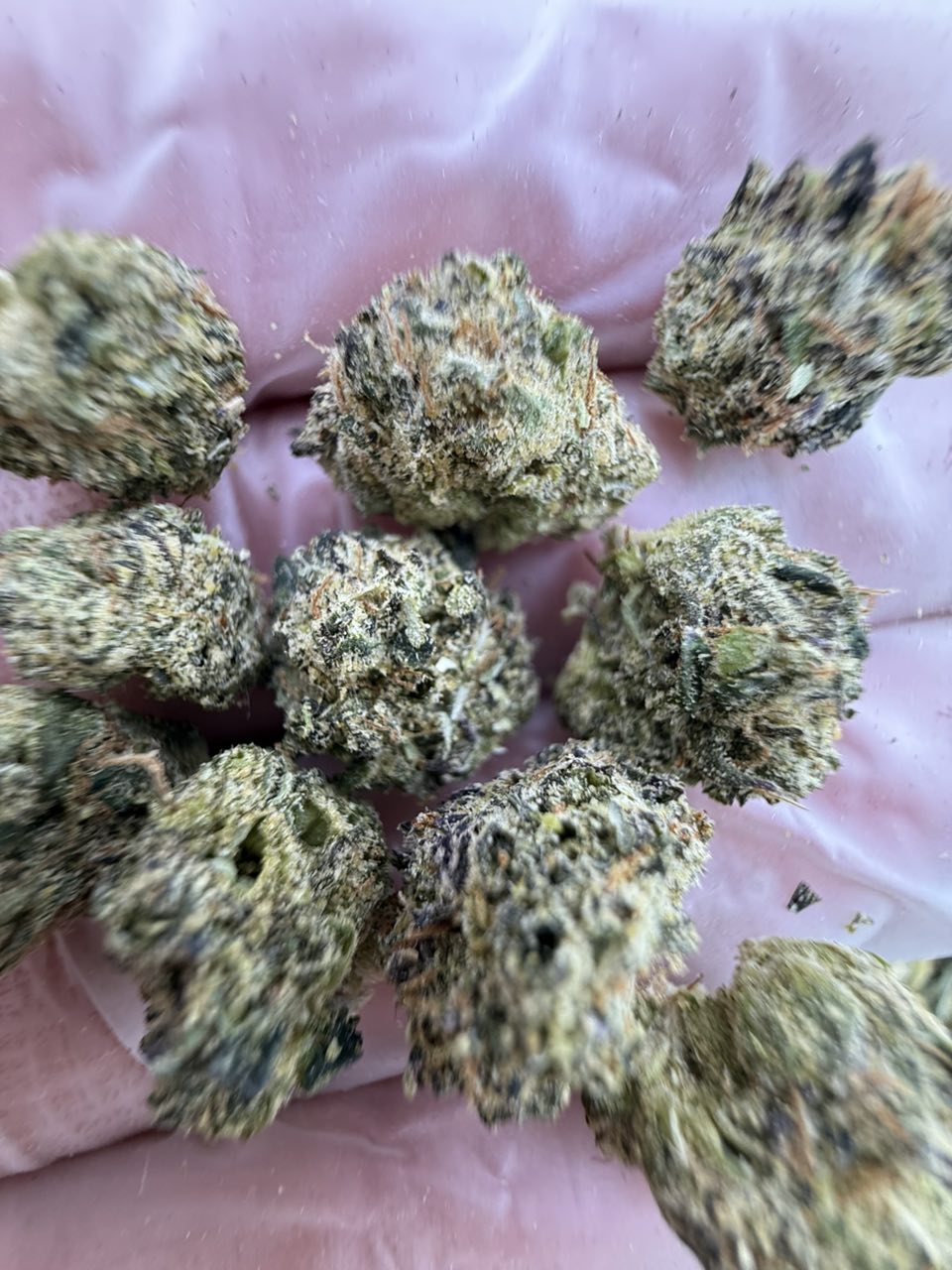 pink runtz strain