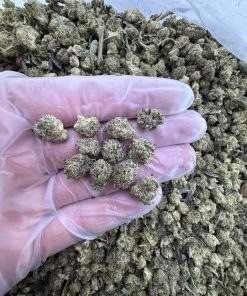 pink runtz strain