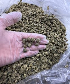 royal runtz strain