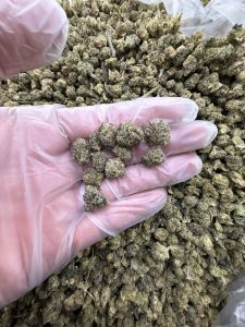 royal runtz strain