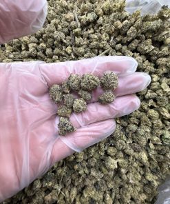 royal runtz strain