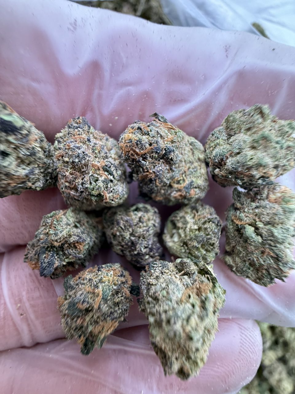 black diamond strain