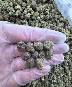 black diamond strain