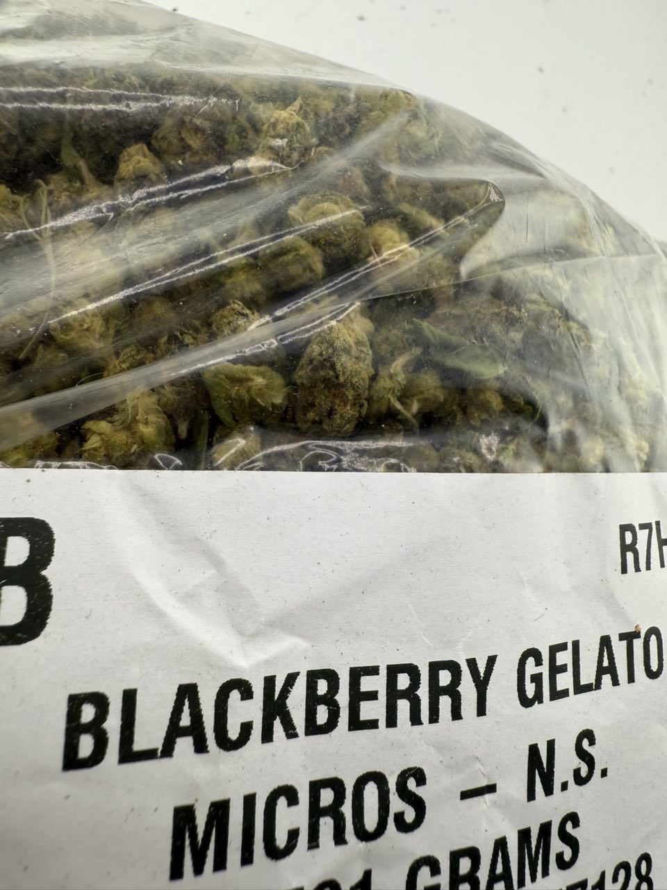 black berry gelato strain