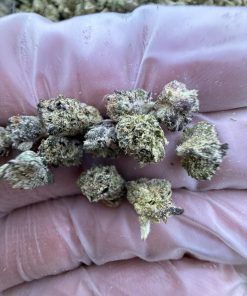 pop tarts strain