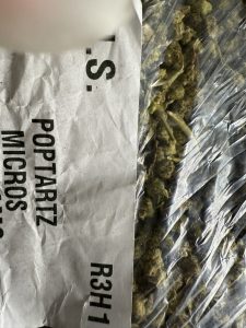 pop tarts strain