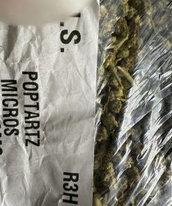 pop tarts strain