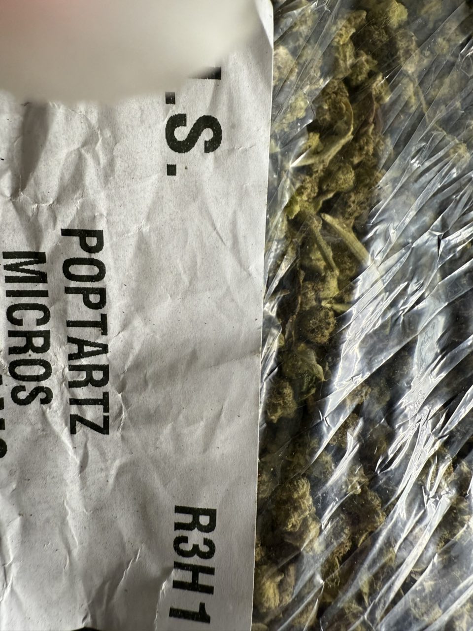 pop tarts strain